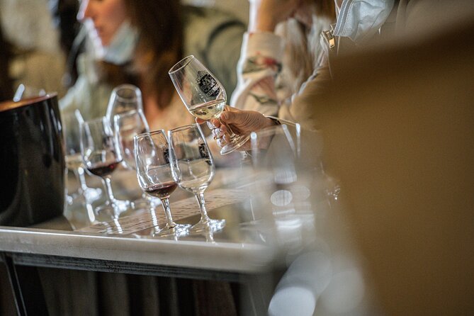 Caves Ambacia, Tour and Wine Tasting in Amboise, Loire Valley - Visitor Experiences and Feedback
