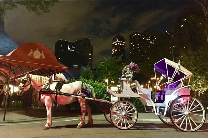 Central Park and NYC Private Horse Carriage Ride - Accessibility and Participation Considerations