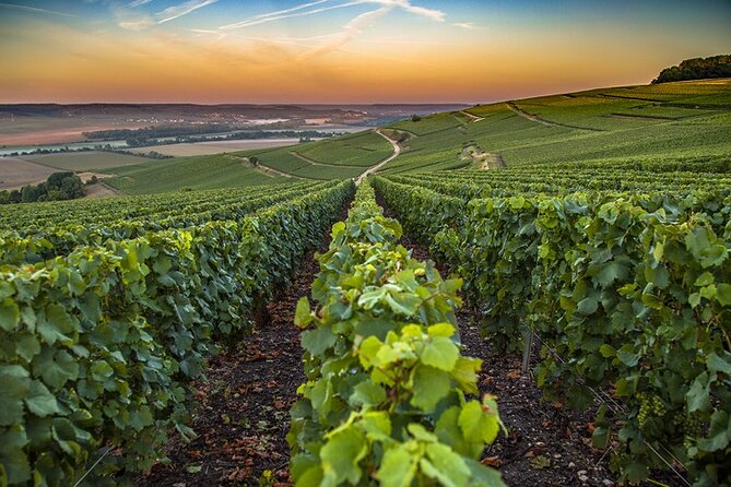 Champagne Day Trip From Reims Including 7 Champagne Tastings - Exploring Reims and Epernay
