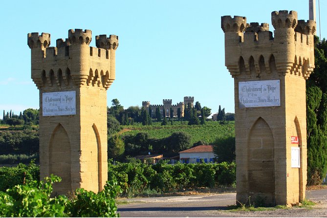 Châteauneuf Du Pape Wine Day Tasting Tour Including Lunch From Avignon - Knowledgeable and Engaging Guides