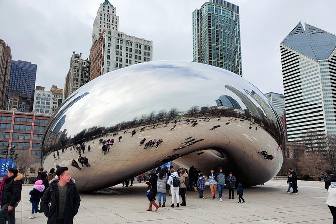 Chicago City Minibus Tour - A Comfortable and Informative Experience