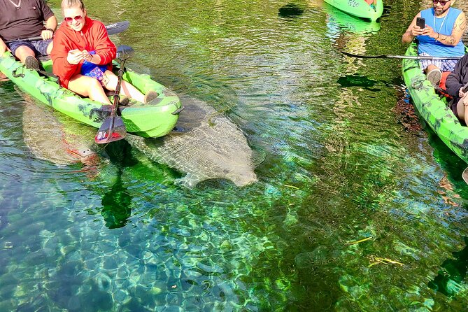 Clear Kayak or Paddleboard Manatee Adventure - Customer Feedback