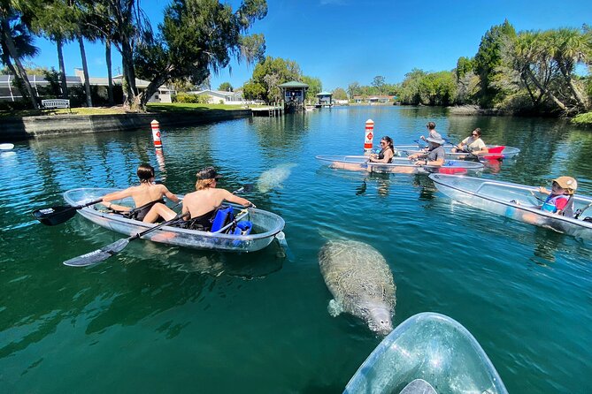 Clear Kayak Tour of Crystal River - Unique Perspectives