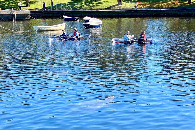 Clear Kayak Tour of Tarpon Springs | Manatee Season - Safety and Accessibility Considerations