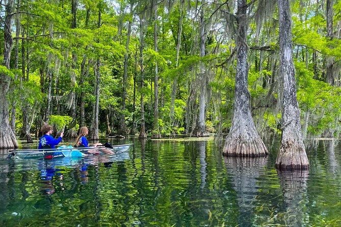 Clear Kayaking Eco Adventure Tour in Marianna - Scenic Beauty of the Area