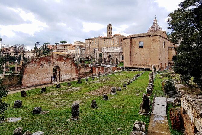 Colosseum & Ancient Rome Guided Walking Tour - Customer Reviews and Feedback