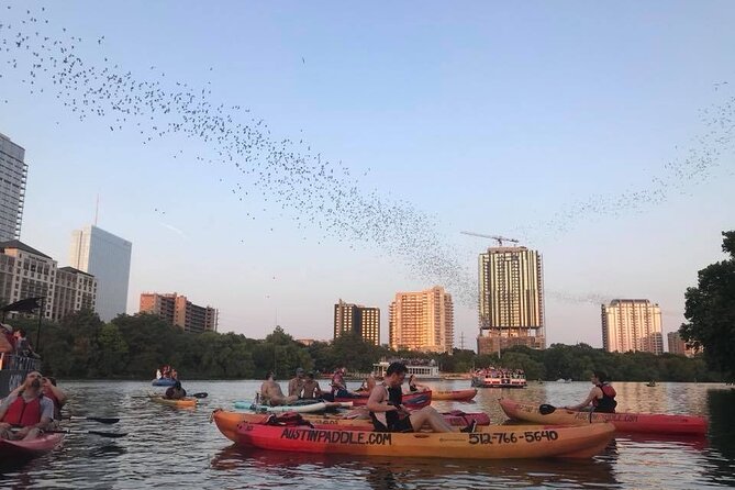 Congress Avenue Bat Bridge Kayak Tour in Austin - Physical Requirements and Capacity