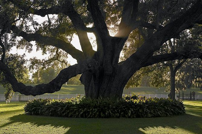 Destrehan Plantation Tour - Exhibits and Demonstrations