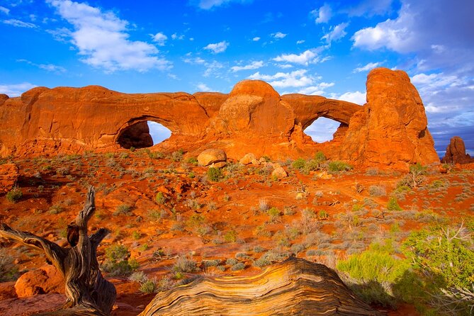 Discover The Best Of Moab In A Day: Arches Canyonlands Dead Horse - Exploring Arches National Park