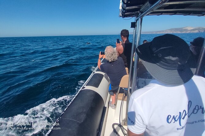 Dolphin Watching and Boat Tour in Sesimbra - Swimming in the Secluded Bay