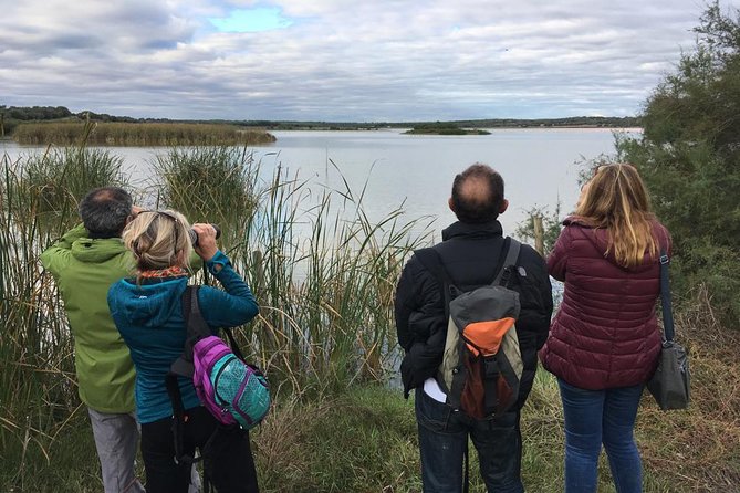 Donana National Park and El Rocío: Guided Tour From Seville - The Unique Ecosystems of Doñana