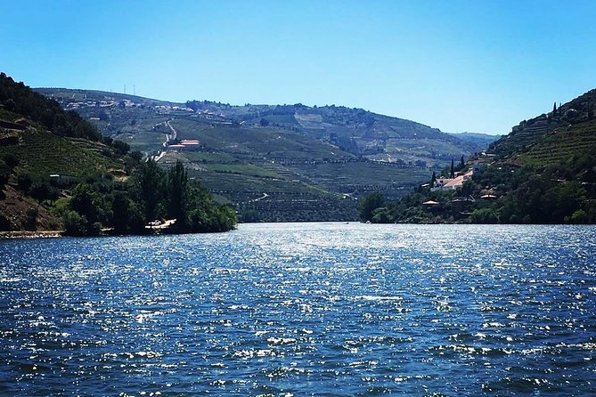 Douro Valley and Amarante Small Group Wine Tour From Porto - Important Information