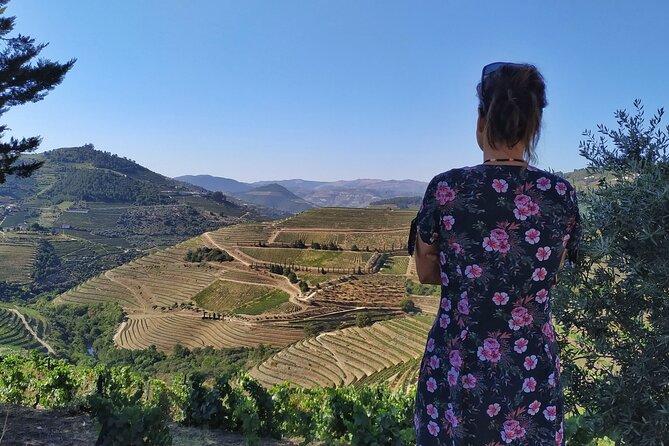 Douro Valley Prime Tour: Wine Tastings, Boat and Lunch From Porto - Wine Tastings and Pairings
