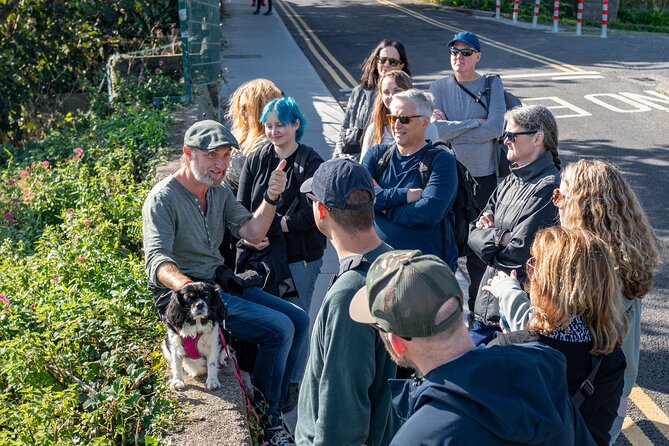 Dublin Coastal Hike, Pints & Puppies Adventure - Accessibility and Physical Requirements