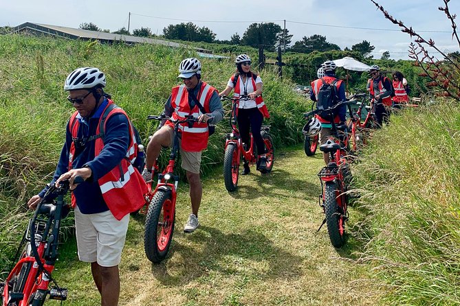 Dublin Panoramic E-Bike Tour With Howth Adventures - Glowing Guest Reviews