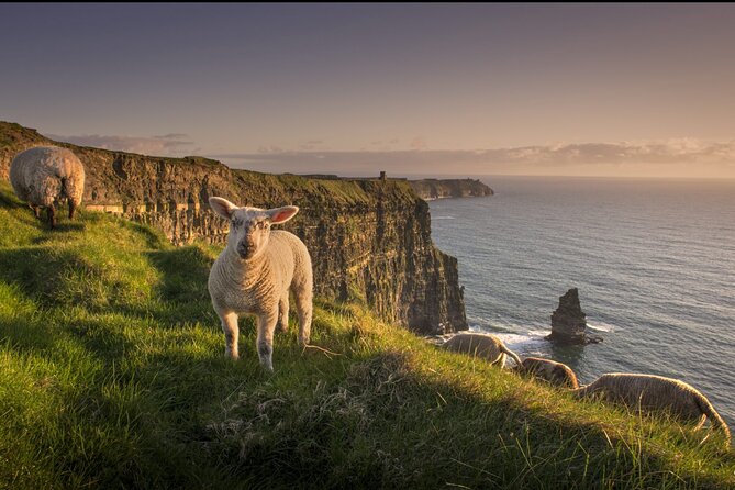 Dublin to Cliffs of Moher, Ennis Town & Bunratty Castle Day Tour - Highlights: Bunratty Castle