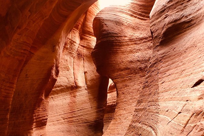 East Zion 2 Hour Slot Canyon Canyoneering UTV Tour - Customer Feedback and Highlights