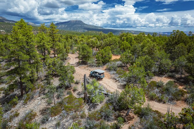 East Zion East Rim Jeep Tour - Health and Safety Considerations