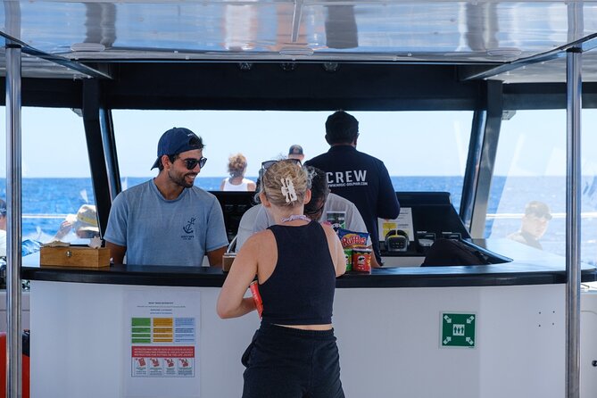 Eco-Friendly Catamaran Dolphin and Whale Watching - Customer Reviews and Feedback