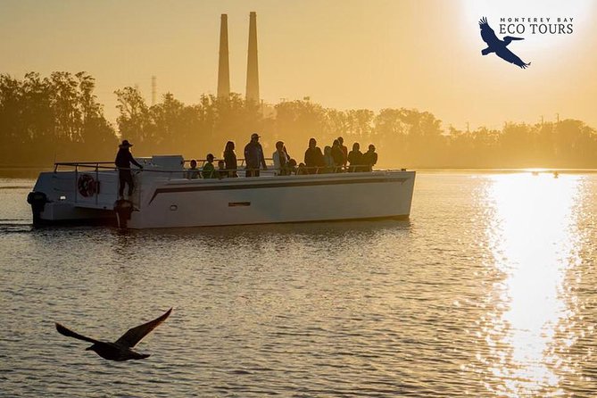 Elkhorn Slough Wildlife Tour - Tour Highlights