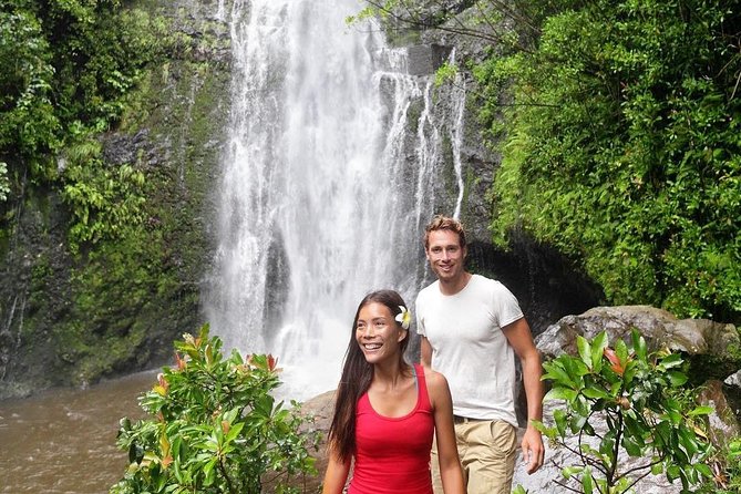 Epic Waterfall Adventure, the Best of Maui - Ideal for Adventure Seekers