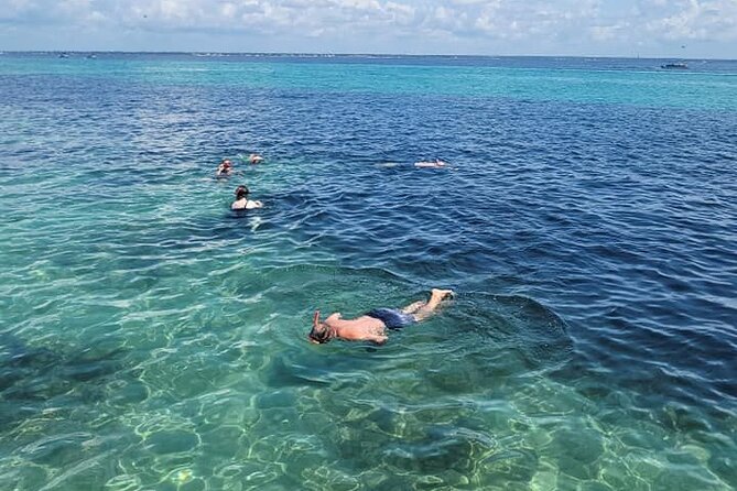 Family Friendly Snorkeling and Dolphin Tour - Participant Experiences