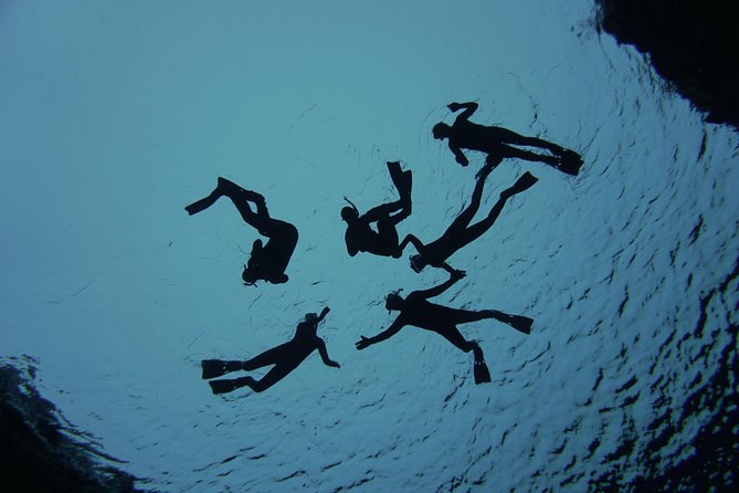 Freedive Silfra Half Day Tour - Health and Safety Guidelines for the Tour