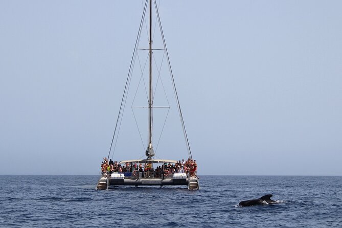 Fuerteventura: Magic Select Catamaran Trip With Food & Drinks - Onboard Amenities and Activities