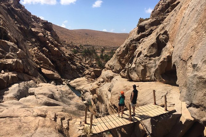 Fuerteventura South Exclusive Tour - Sampling Local Cuisine