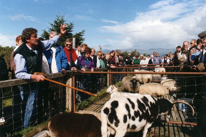 Full-Day Ring of Kerry Tour From Killarney - Guide Expertise and Commentary
