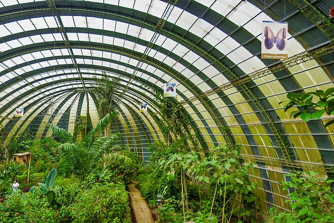 Full Monteverde Cloud Forest Experience With Ziplining. - Ziplining Through the Cloud Forest