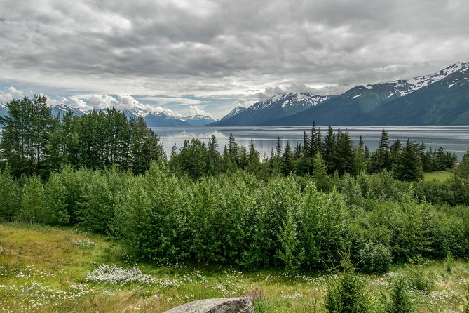 Glaciers and Wildlife: Super Scenic Day Tour From Anchorage - Tour Details and Logistics