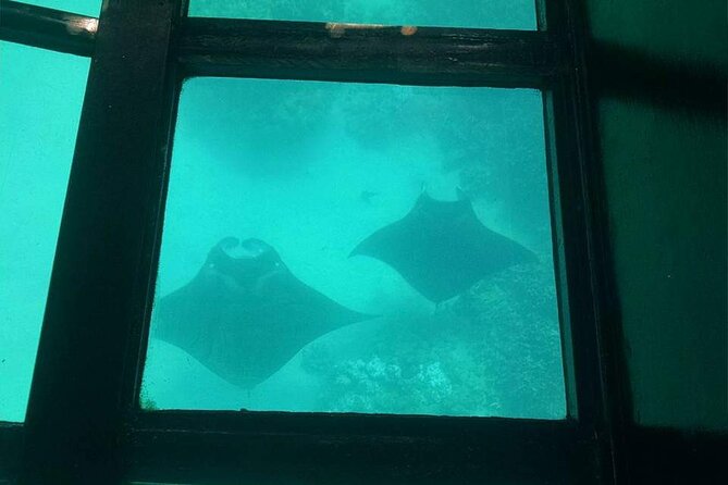 Glass-Bottom Boat Cruise From Waikoloa - Waikoloa Beach Resort and Location