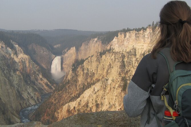 Grand Canyon of the Yellowstone Rim and Loop Hike With Lunch - Wildlife and Nature Encounters