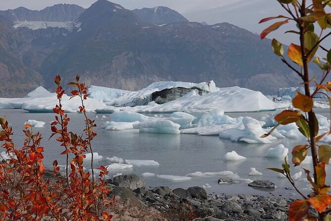 Grand Knik Helicopter Tour - 2 Hours 3 Landings - ANCHORAGE AREA - Meeting Point and Check-in