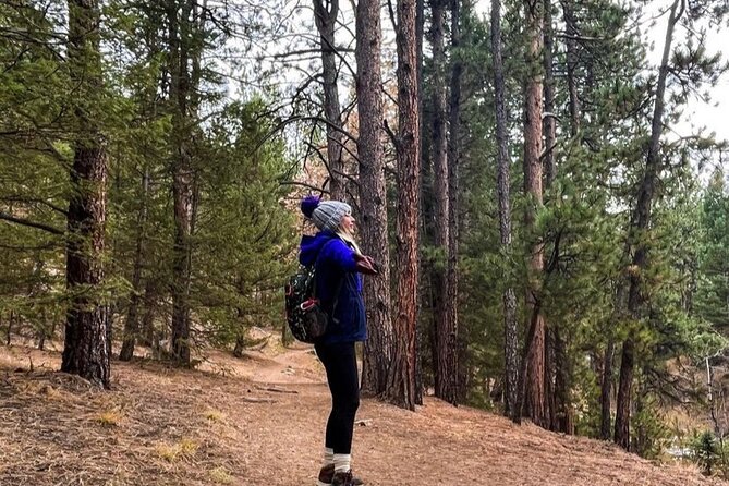 Guided Hiking Tour in Colorado Mountains - Exceptional Reviews and Satisfied Customers