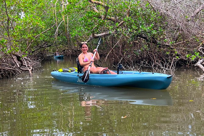 Guided Hobie Kayak EcoTour: Premium Eco Experience Bonita Springs - Exploring Mangrove Tunnels