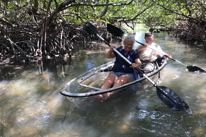 Guided Island EcoTour: CLEAR/Standard Kayak, SUP - Bonita Springs - Additional Information and Accessibility