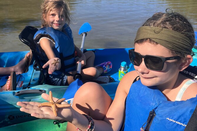 Guided Kayak Mangrove Ecotour in Rookery Bay Reserve, Naples - Booking Details