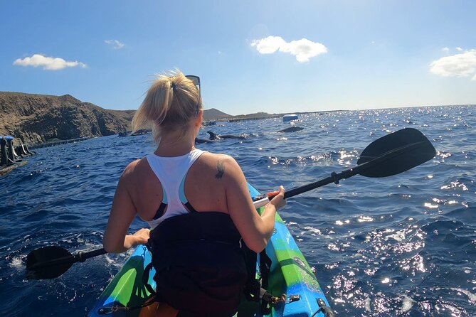 Guided Kayak Tour From Los Cristianos Beach Tenerife - Guest Experiences and Feedback