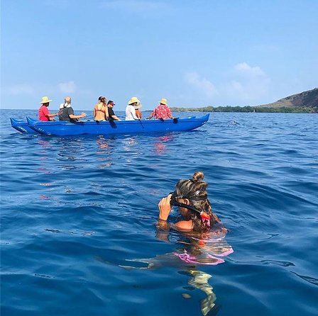 Guided Outrigger Canoe Tour in Kealakekua Bay - Tour Details and Pricing