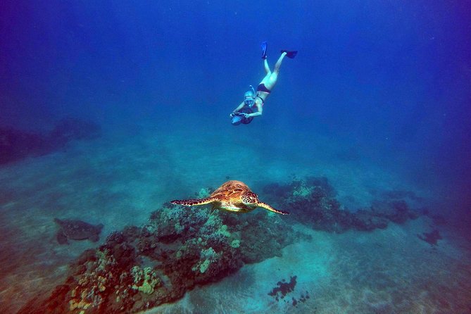 Guided Sea Scooter Snorkeling Tour Wailea Beach - Why Its Highly Recommended