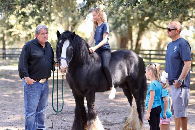 Gypsy Gold Horse Farm Tour - Pricing, Cancellation, and Reservation Options