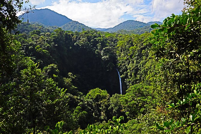 Half-Day Tour With La Fortuna Waterfall and Arenal Volcano Hike - Wildlife Sightings