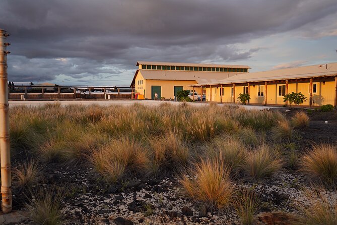 Hawaiian Salt Farm Tour in Kona - The Salt Extraction Process