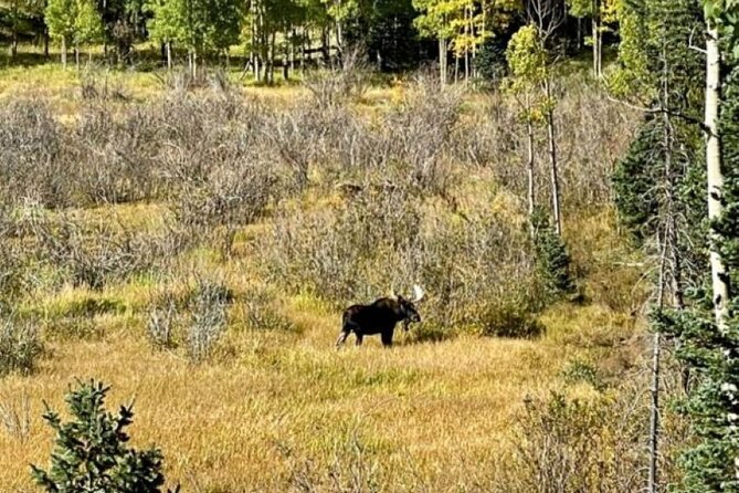 High Country Old West 4X4 Jeep Tour - Refreshments and Amenities