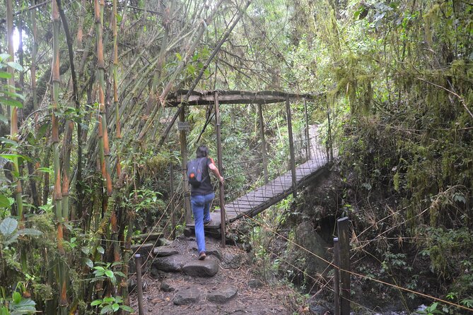 Hike to Colombias Tallest Waterfall: La Chorrera & El Chiflón - Customer Feedback Highlights