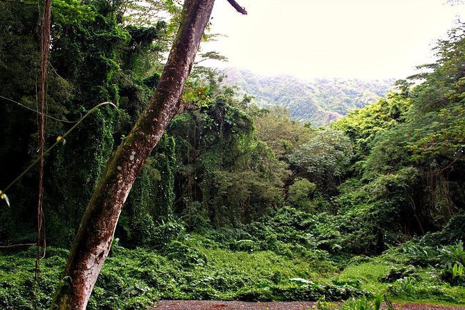Hike Trail to Waterfall & Nature Walk - Packing Essentials