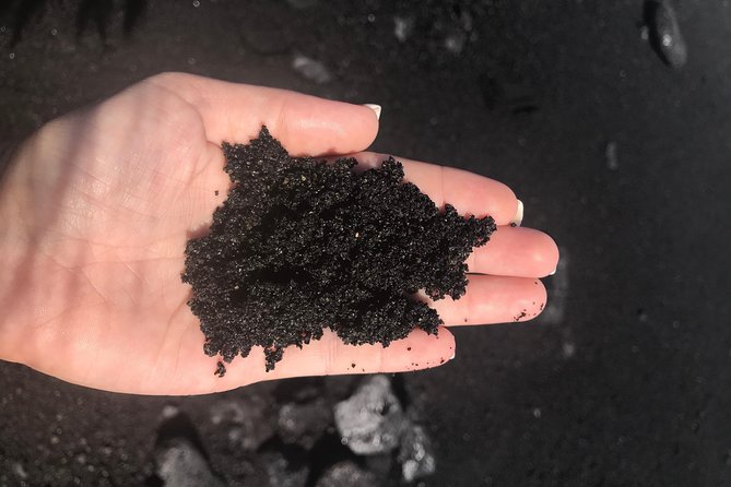 Hilo Shore Excursion: Safari Lava Caves, Falls and Highlights - Lava Tree State Park and Pohoiki