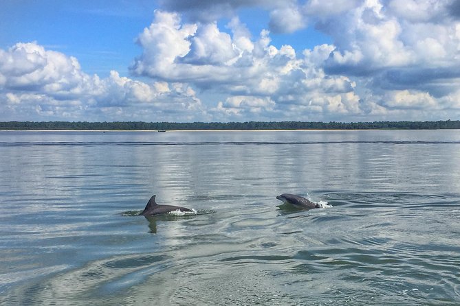 Hilton Head Island Guided Water Tour by Creek Cat Boat - Customer Feedback and Highlights
